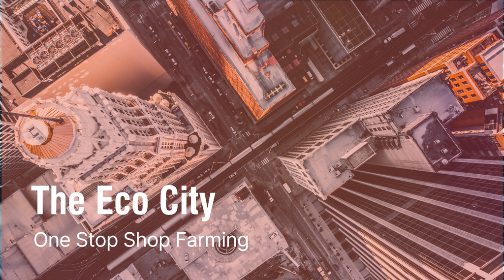 The Eco City: One Stop Shop Farming