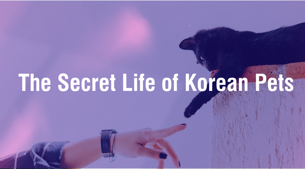 The Secret Life of Korean Pets